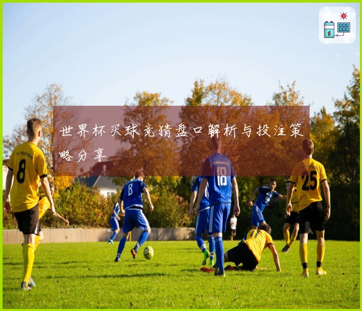 世界杯买球竞猜盘口解析与投注策略分享