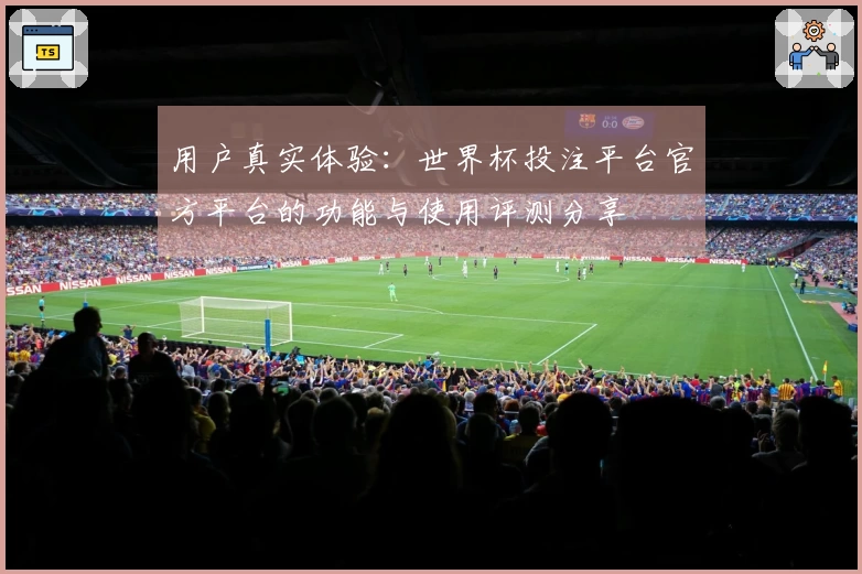 用户真实体验：世界杯投注平台官方平台的功能与使用评测分享