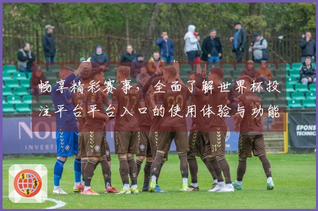 畅享精彩赛事，全面了解世界杯投注平台平台入口的使用体验与功能优势