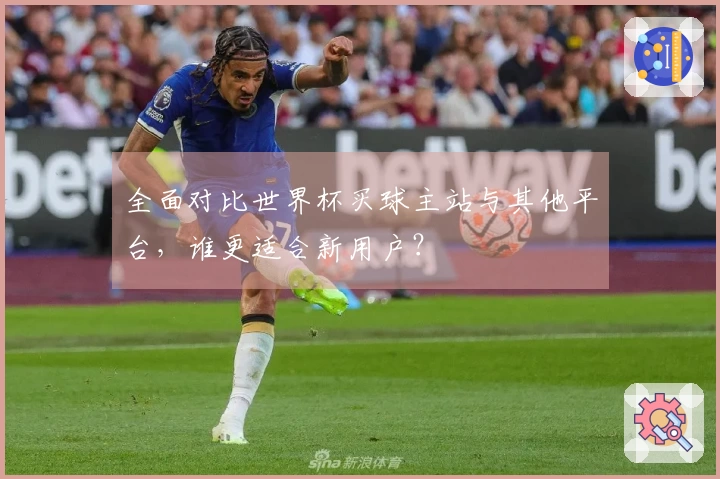 全面对比世界杯买球主站与其他平台，谁更适合新用户？