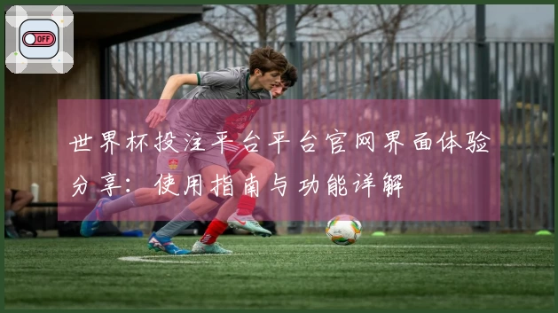 世界杯投注平台平台官网界面体验分享：使用指南与功能详解