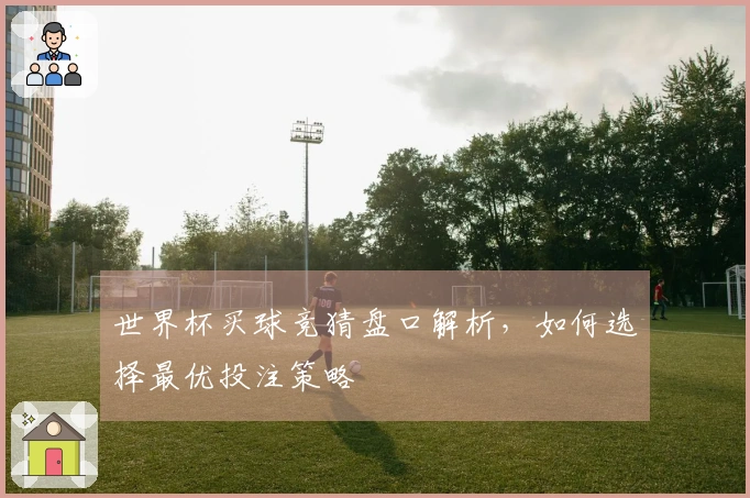 世界杯买球竞猜盘口解析，如何选择最优投注策略