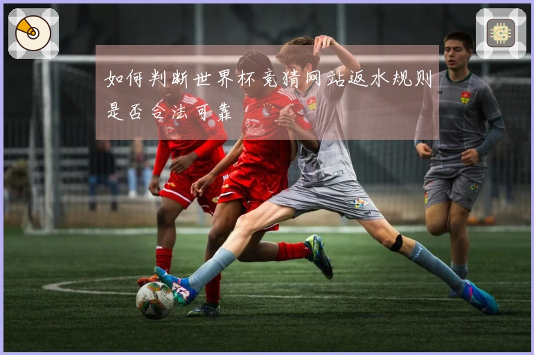 如何判断世界杯竞猜网站返水规则是否合法可靠