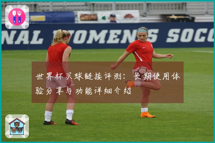 世界杯买球链接评测：长期使用体验分享与功能详细介绍