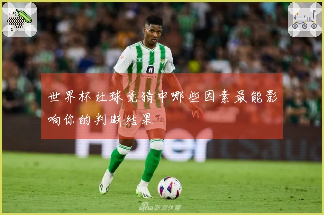 世界杯让球竞猜中哪些因素最能影响你的判断结果