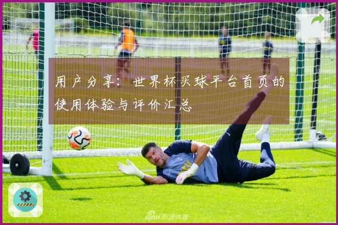 用户分享：世界杯买球平台首页的使用体验与评价汇总