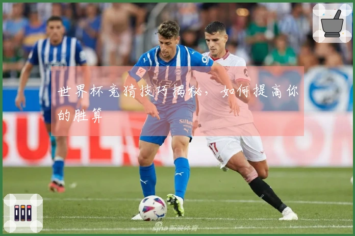 世界杯竞猜技巧揭秘，如何提高你的胜算